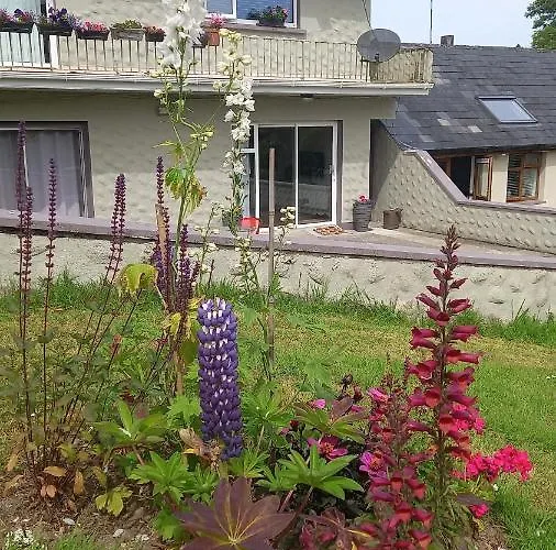 アパート Saoirse キラーニー